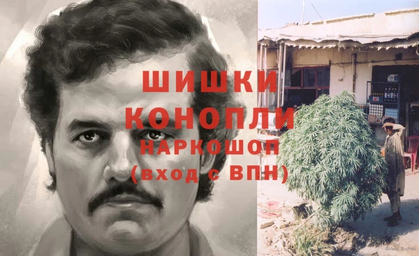 шишки Алексеевка