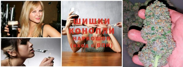 шишки Алексеевка