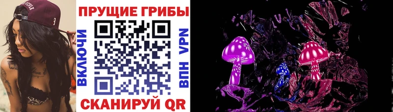 Галлюциногенные грибы мицелий  Дно 